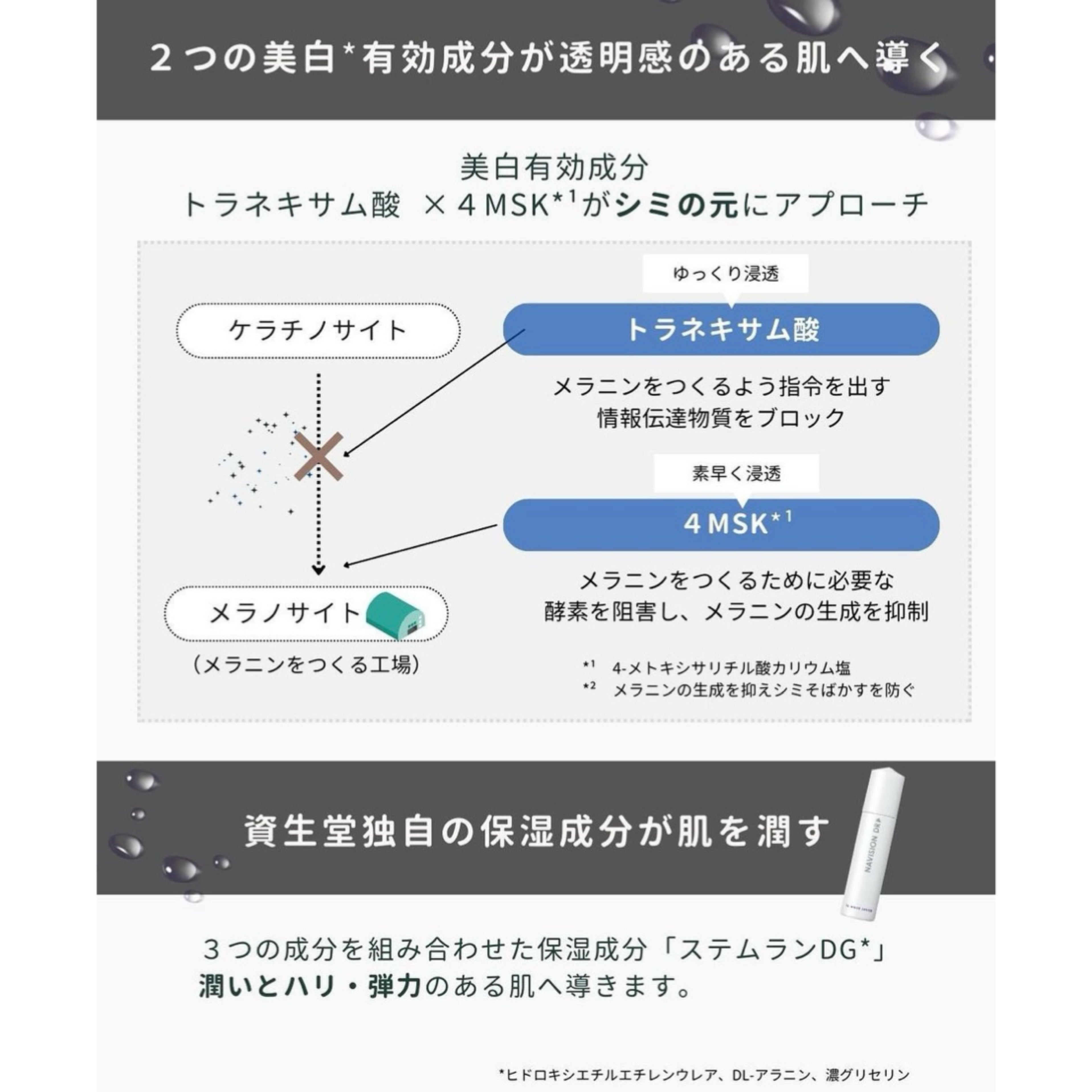 ナビジョンDR|TAホワイトローションn(医薬部外品)