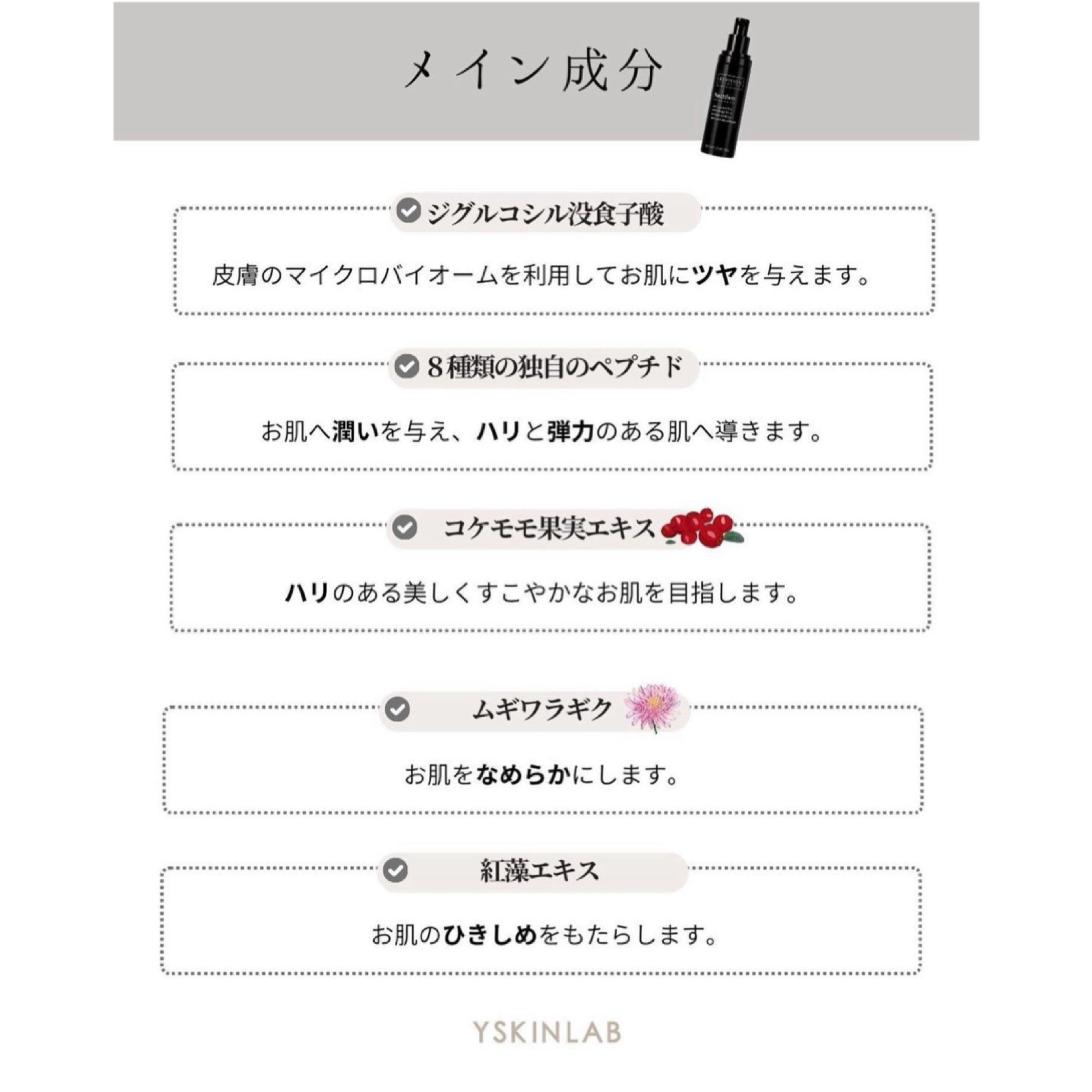 リビジョン|ネクティファームアドバンス(Nectifirm® Advanced)