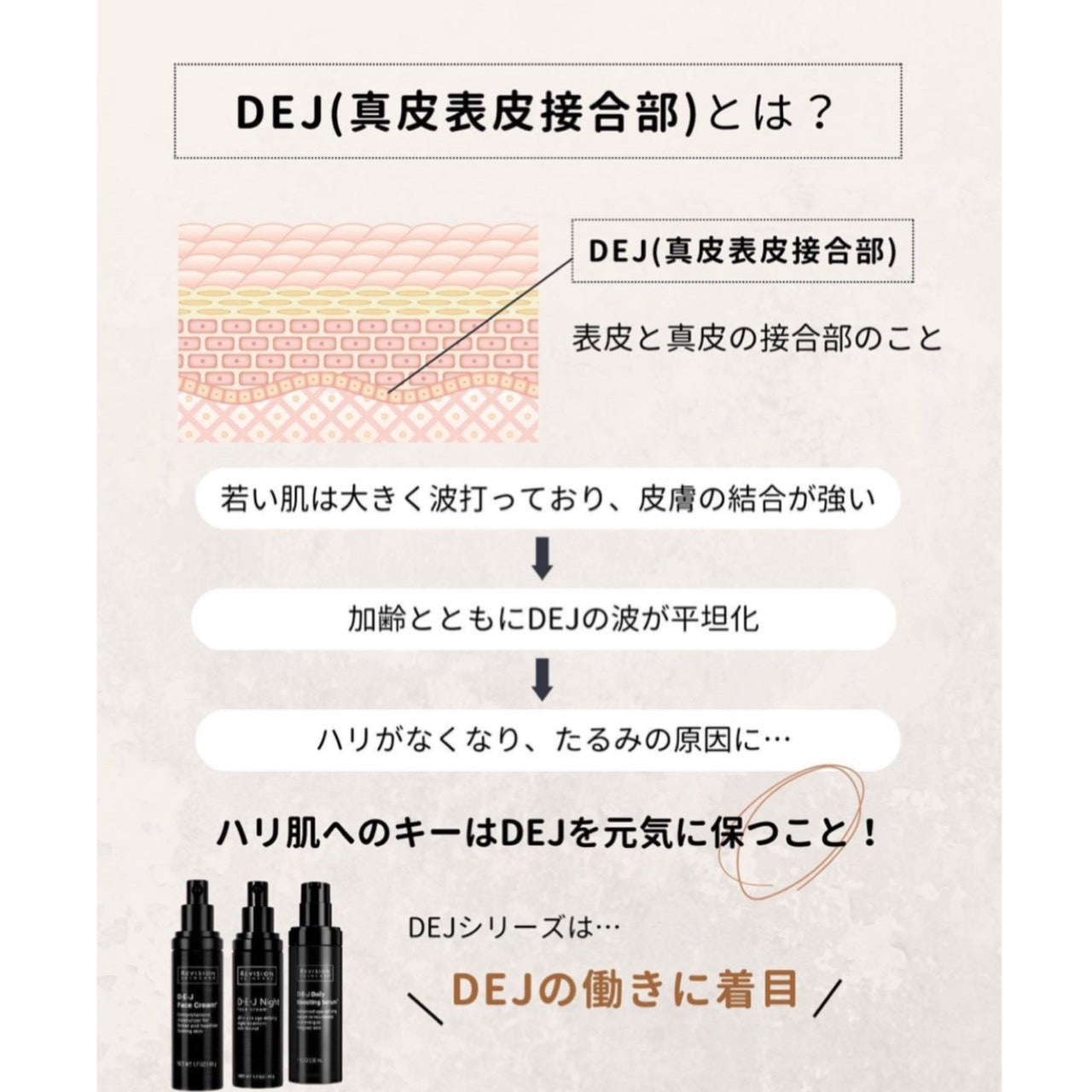 リビジョン|DEJフェイスクリーム(D·E·J face cream®)