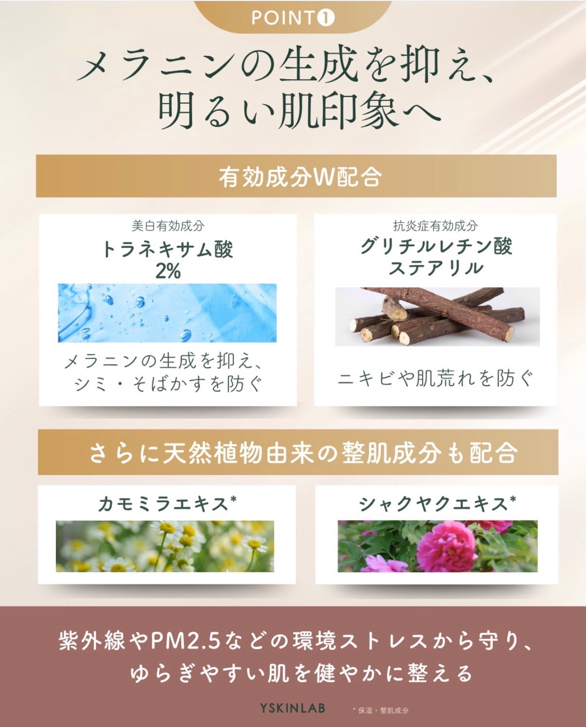 レカルカ｜ホワイトニング＆アクネUVパウダー(WHITENING & ACNE UV POWDER)【医薬部外品】