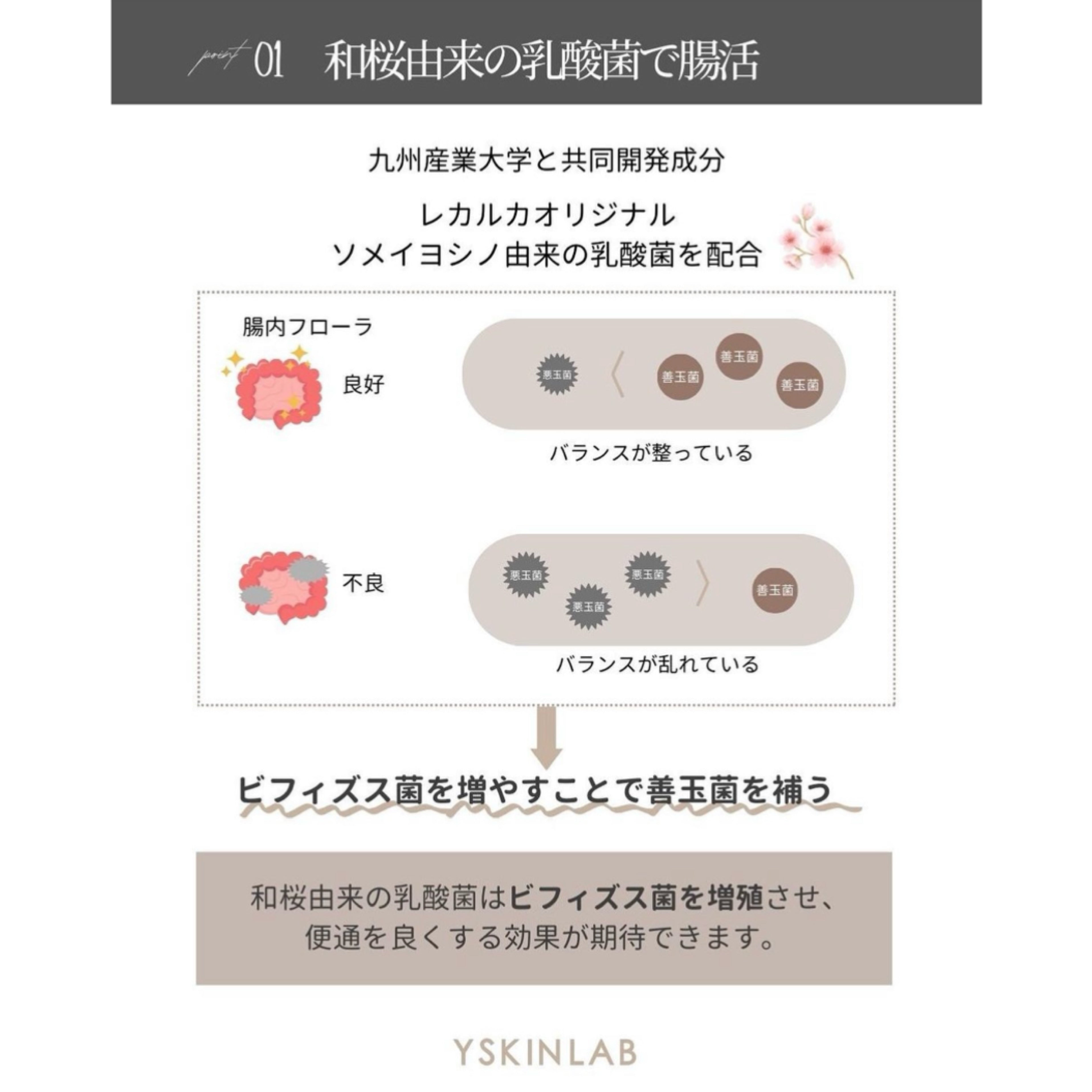 Lekarka Face＆BodySupport Dietjelly（レカルカ フェイス＆ボディサポート ダイエットゼリー）（健康補助食品）