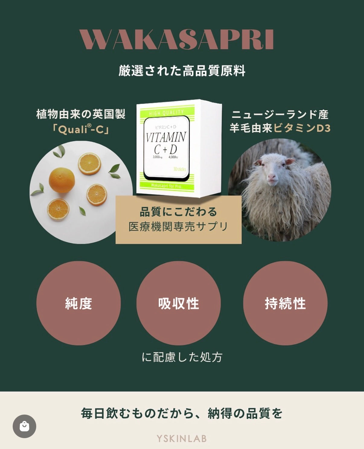 分子生理化学研究所 ビタミンC＋ビタミンD -Wakasapri for Pro.｜Y