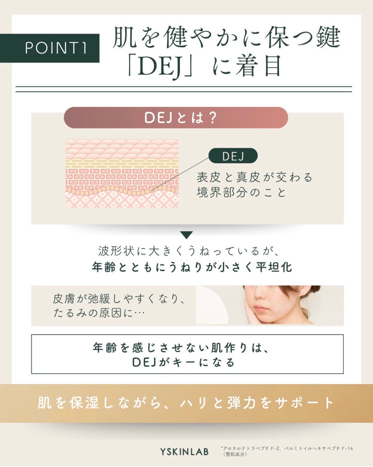 リビジョン｜DEJフェイスクリーム（D·E·J face cream®）