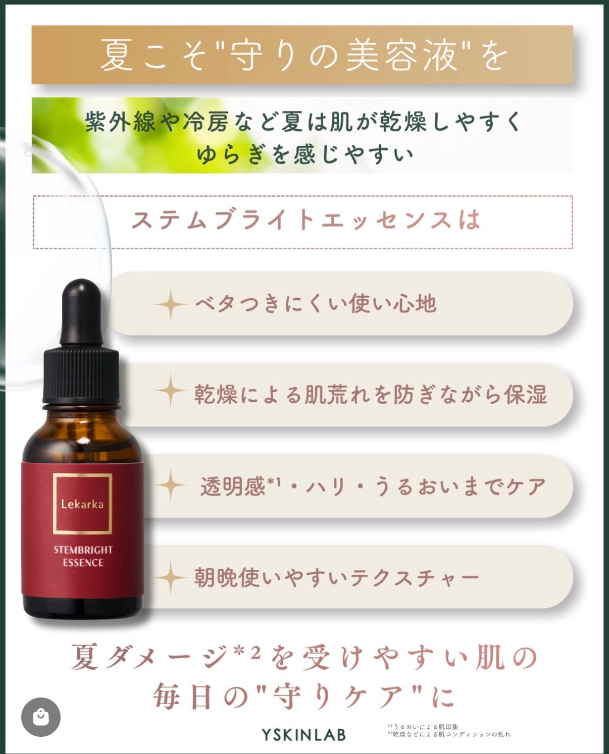 レカルカ｜ステムブライトエッセンス（STEMBRIGHT ESSENCE）