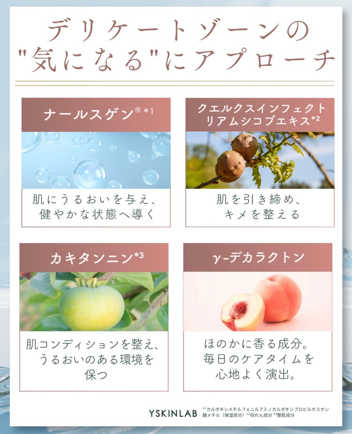 アプローラDジェル（APPLAURA D GEL）